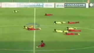 لغو مسابقه فوتبال به دلیل هجوم عظیم زنبورها ! لغو مسابقه فوتبال به دلیل هجوم عظیم زنبورها !