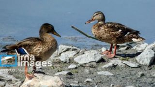 تالاب‌های "درگه و سولدوز"