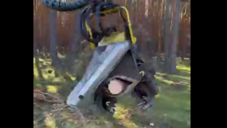 ماشین مکانیکی بی‌رحم برای قطع و برش سریع درخت!