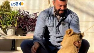 توله شیر امیر علیاکبری در پارک ارم تلف شد توله شیر امیر علیاکبری در پارک ارم تلف شد