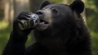 اقدام عجیب یک جوان | تعارف نوشیدنی به یک خرس وحشی ! اقدام عجیب یک جوان | تعارف نوشیدنی به یک خرس وحشی !