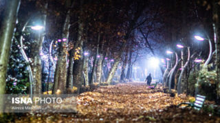 کاهش محسوس دمای تهران از شنبه/ هشدار نسبت به وزش باد شدید