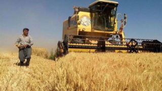 هشدار درباره ذخیره کالاهای اساسی/ نرخ خرید گندم کمتر از ۳۰هزار تومان نباشد هشدار درباره ذخیره کالاهای اساسی/ نرخ خرید گندم کمتر از ۳۰هزار تومان نباشد