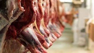 آغاز واردات دوباره گوشت قرمز به کشور 