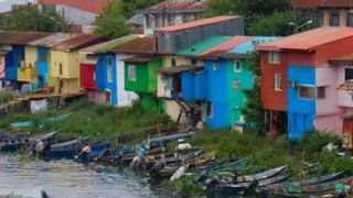 قایقسواری در تالاب انزلی قایقسواری در تالاب انزلی