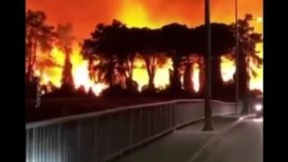 آتشسوزی جنگلی در ترکیه آتشسوزی جنگلی در ترکیه