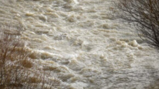 نجات مرد گرفتار در رودخانۀ تنکابن نجات مرد گرفتار در رودخانۀ تنکابن