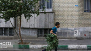 وزش باد شدید و گرد و خاک در تهران/ افزایش نسبی دما