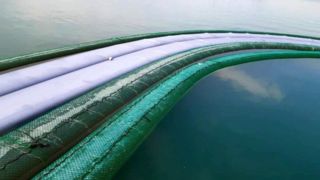 کشف ۱۹ مشک ماری بزرگ در شهرستان جاسک کشف ۱۹ مشک ماری بزرگ در شهرستان جاسک