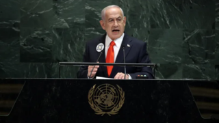 همه توهمات یک آدمکش! همه توهمات یک آدمکش!