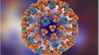 کرونا در راس ویروس‌های تنفسی در گردش کشور در شهریور ماه