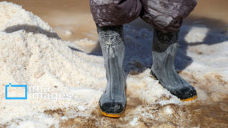 برداشت نمک در دل کویر برداشت نمک در دل کویر