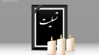 دبیر شورای عالی انقلاب فرهنگی درگذشت همسر آیت‌الله سیستانی را تسلیت گفت