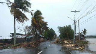 تصاویر هولناک از طوفان سهمگین «بوآلُی» | وضعیت درختان و معابر را ببینید