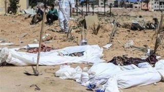 تکرار صحنههای وحشتناک حمله سگها به پیکرهای شهدا/ زنگ خطر تعطیلی بانکهای خون در غزه تکرار صحنههای وحشتناک حمله سگها به پیکرهای شهدا/ زنگ خطر تعطیلی بانکهای خون در غزه