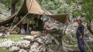 "زندگی عشایری" "زندگی عشایری"