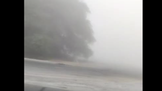 مه غلیظ در جاده برازجان بوشهر