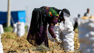 روستاها را دریابیم... روستاها را دریابیم...