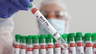 تاکنون مورد انسانی از آنفلوآنزای پرندگان در ایران گزارش نشده است