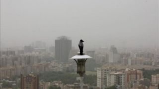 هوای تهران، ناسالم برای گروه‌های حساس