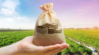 با دو هکتار زمین چه میتوان کرد؟ با دو هکتار زمین چه میتوان کرد؟