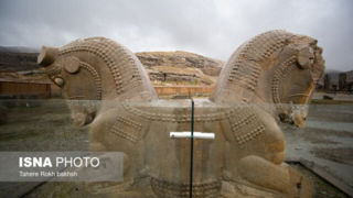 تصویری از لحظه کشف شیردال تخت جمشید تصویری از لحظه کشف شیردال تخت جمشید