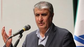 اسلامی: پرتودهی نقش مستقیمی در افزایش کیفیت محصولات کشاورزی دارد