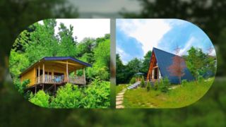 کلبه جنگلی، ترند جدید سفر پاییزی در ایران کلبه جنگلی، ترند جدید سفر پاییزی در ایران