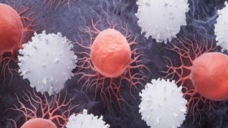 کمک خارق العاده واکسنهای کرونا به مبارزه با سرطان کمک خارق العاده واکسنهای کرونا به مبارزه با سرطان