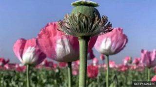 دلجویی کانادا از ترامپ