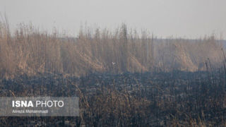 صدور دستور رهاسازی آب به سوی هورالعظیم