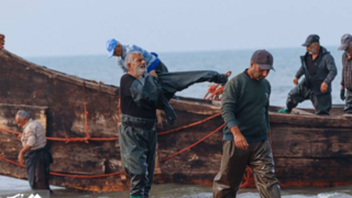 آغاز فصل صید در کاسپین آغاز فصل صید در کاسپین