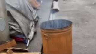 پورتلند در آمریکا مملو از چادر آوارگان و بیخانمانها پورتلند در آمریکا مملو از چادر آوارگان و بیخانمانها