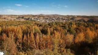 رقص رنگ‌ها بر بام زاگرس