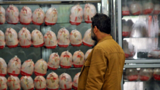 مرغ در بازار تهران زیاد شد مرغ در بازار تهران زیاد شد