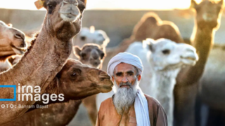 «چابهار» رنگ، فرهنگ و زندگی