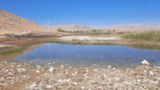 تالاب پیرسلمان دوباره جان گرفت تالاب پیرسلمان دوباره جان گرفت