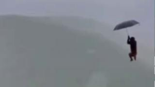 سرقت چتر توریست توسط یک میمون 