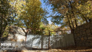 خزان هزار رنگ همدان