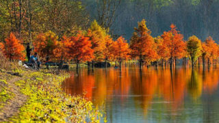 معرفی دریاچه ۲.۵ میلیون ساله مازندران معرفی دریاچه ۲.۵ میلیون ساله مازندران