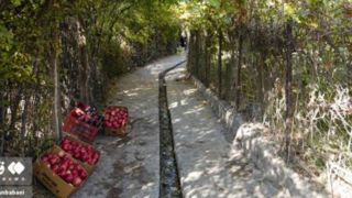 جشنواره انار نمهیل