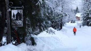 زمستان به گیر‌دوود آلاسکا رسید