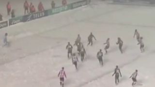 گل قیچی برگردان زیبا در کولاک و برف سنگین