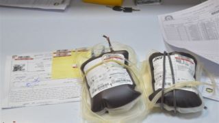 نیاز به خون همیشگی است؛ بیماران هموفیلی و تالاسمی نیازمند حمایت مردم