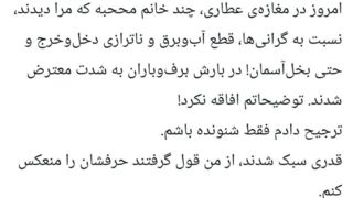 ضرغامی : گفتم چشم