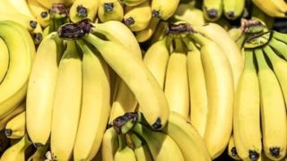 تکذیب توقف واردات موز/ واردات و صادرات محصولات کشاورزی طبق روال قبلی در حال انجام است 