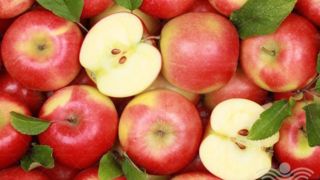 سیب ایرانی در سبد ۲۰ کشور دنیا؛ عراق بزرگترین خریدار سیب ایرانی در سبد ۲۰ کشور دنیا؛ عراق بزرگترین خریدار