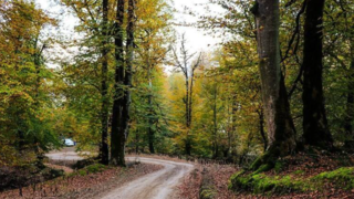 طبیعت پاییزی گیلان