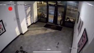 محاکمه سارق یکی از مشهورترین آثار هنرمند خیابانی انگلیسی