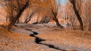 جلوه‌گری پاییز در طبیعت ارومیه